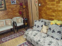 Pantelimon, Delfinului, contract ANAF